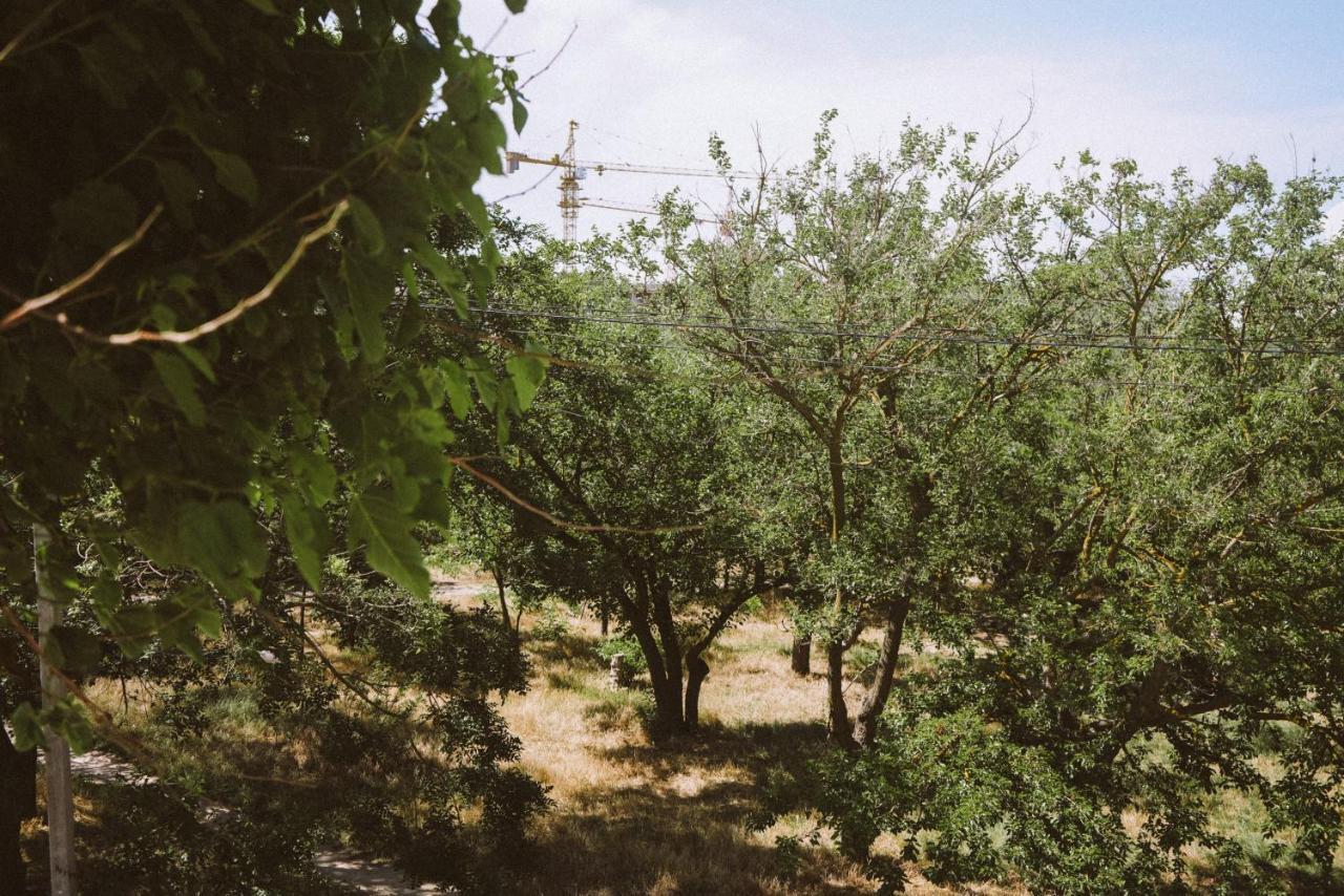אודסה Hotel Tsvetok מראה חיצוני תמונה